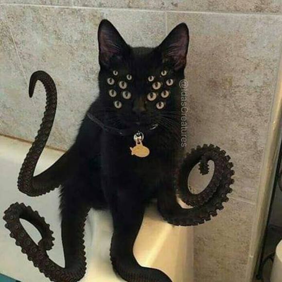 Meet your Posher, Curt - Picture 1 of 1